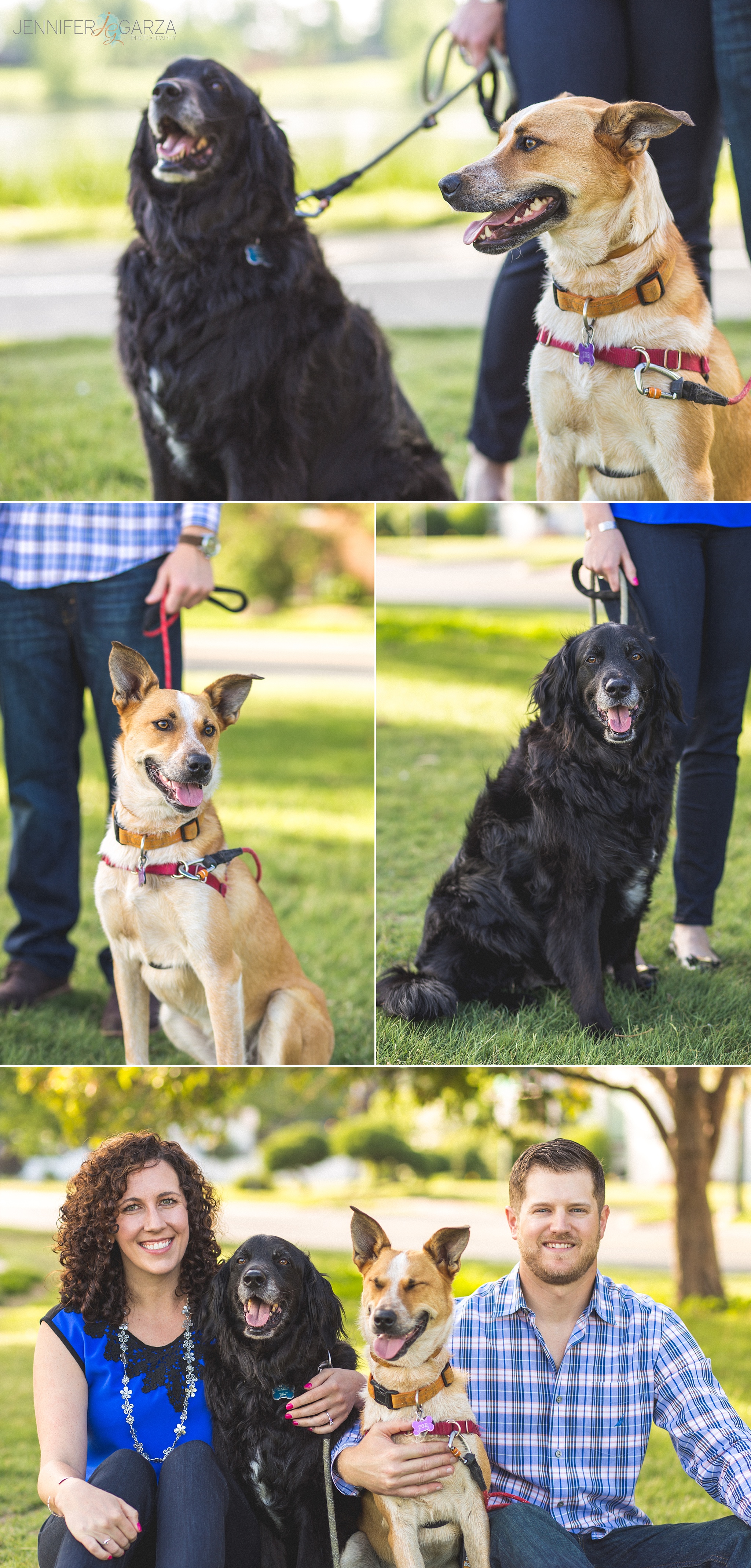 Sloan's Lake & Downtown Denver Engagement Photos by Jennifer Garza Photography, Sloan’s Lake Engagement Photos, Sloan’s Lake Engagement Photography, Downtown Denver Engagement, Downtown Denver Engagement Photography, Denver Engagement, Denver Engagement Photography, Colorado Engagement, Colorado Engagement Photos, Engagement Photography, Colorado Engagement Photographer, Colorado Wedding Photographer, Denver Wedding Photographer, Dog Photography, Dogs, Dog Life, Love Dogs