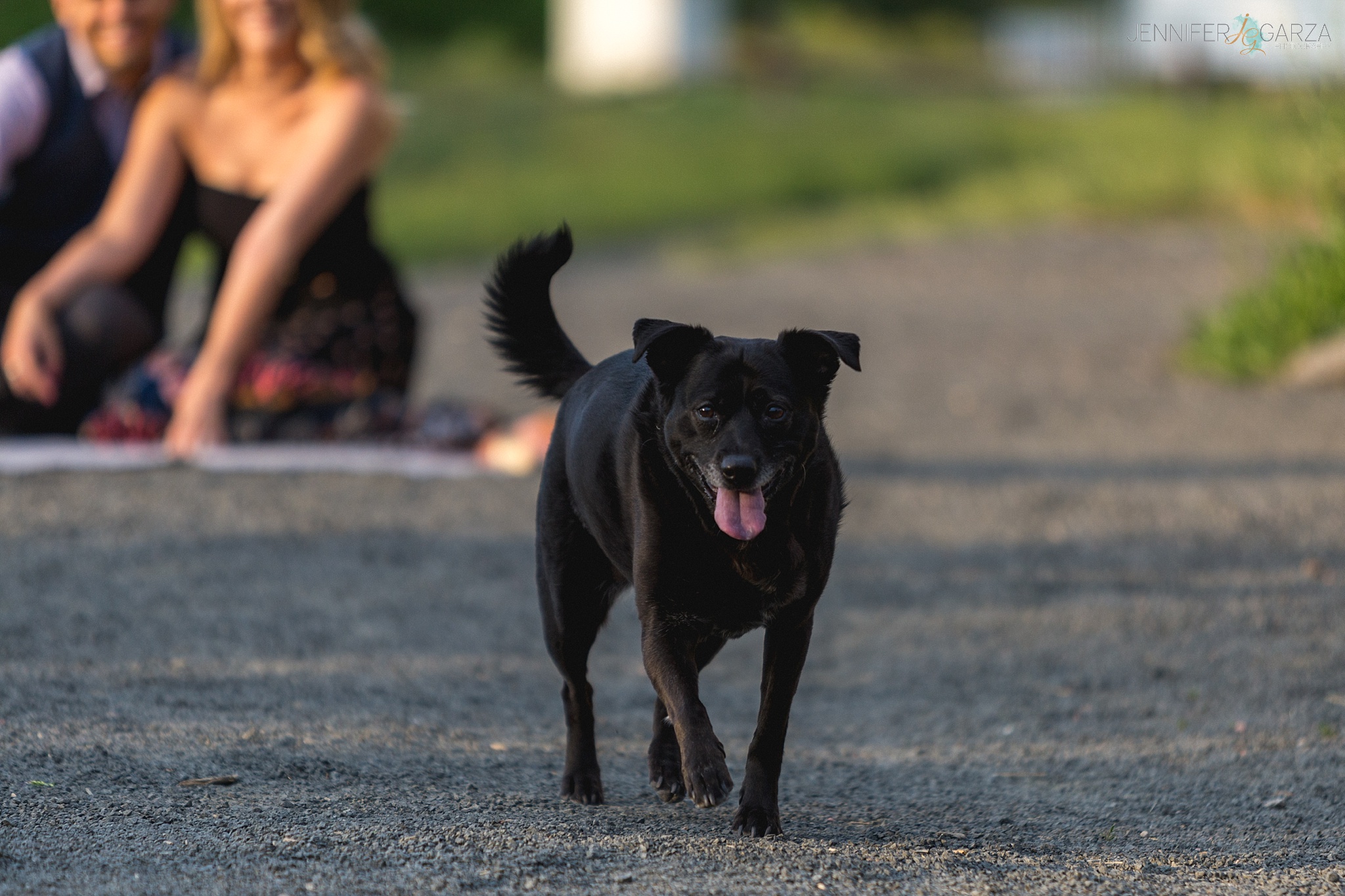 Kyley & Brian's Engagement Session with their dog Mia at Clear Creek History Park in Golden, Colorado. Photographed by Jennifer Garza Photography.