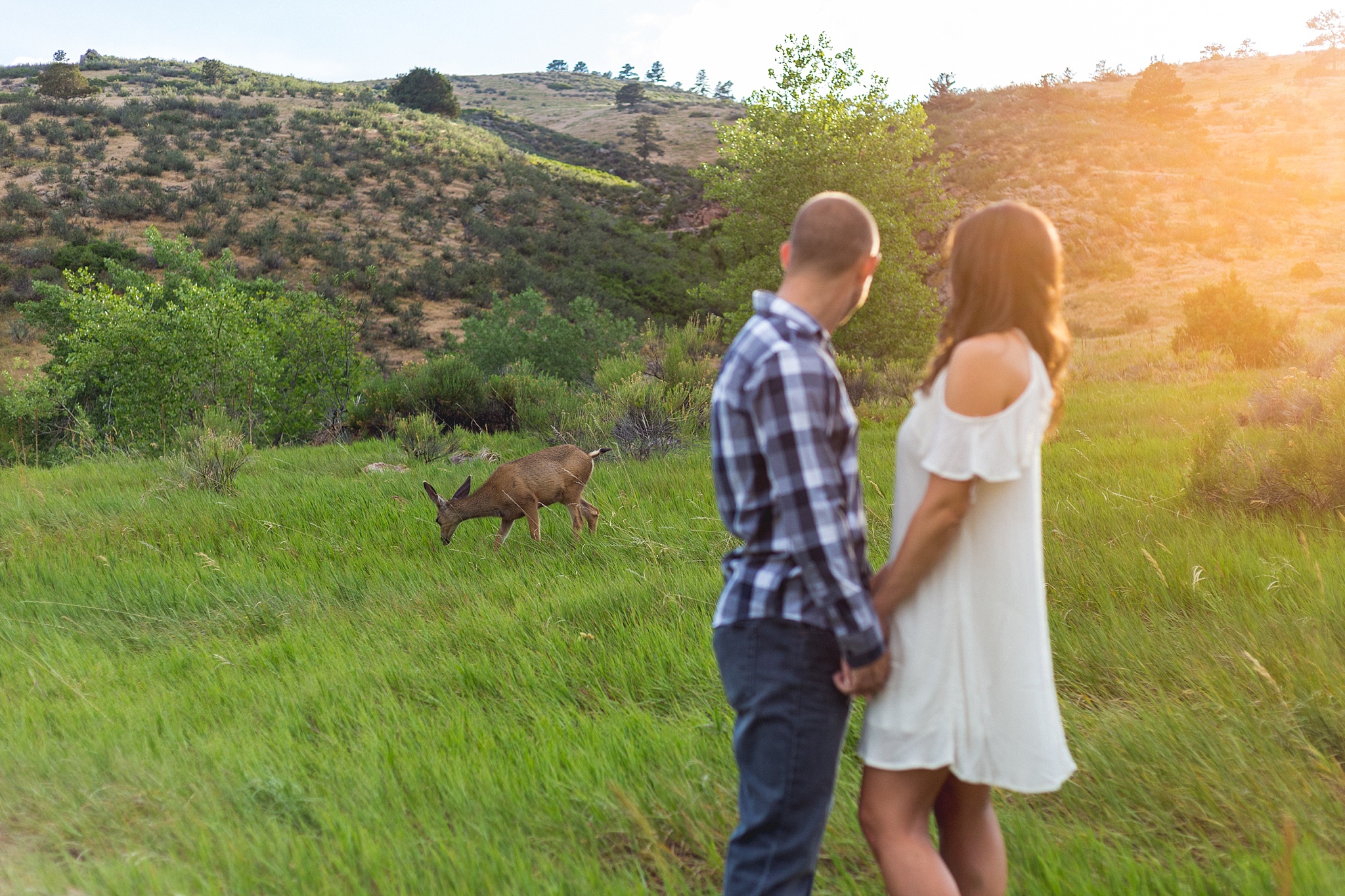 Fort Collins Engagement Photos by Jennifer Garza Photography, Horsetooth Reservoir Engagement Photos, Horsetooth Reservoir Engagement Photography, Fort Collins Engagement, Fort Collins Engagement Photography, Soderberg Trail Engagement, Colorado Engagement, Colorado Engagement Photos, Engagement Photography, Colorado Engagement Photographer, Deer, Deer Photobomb, Magical Deer