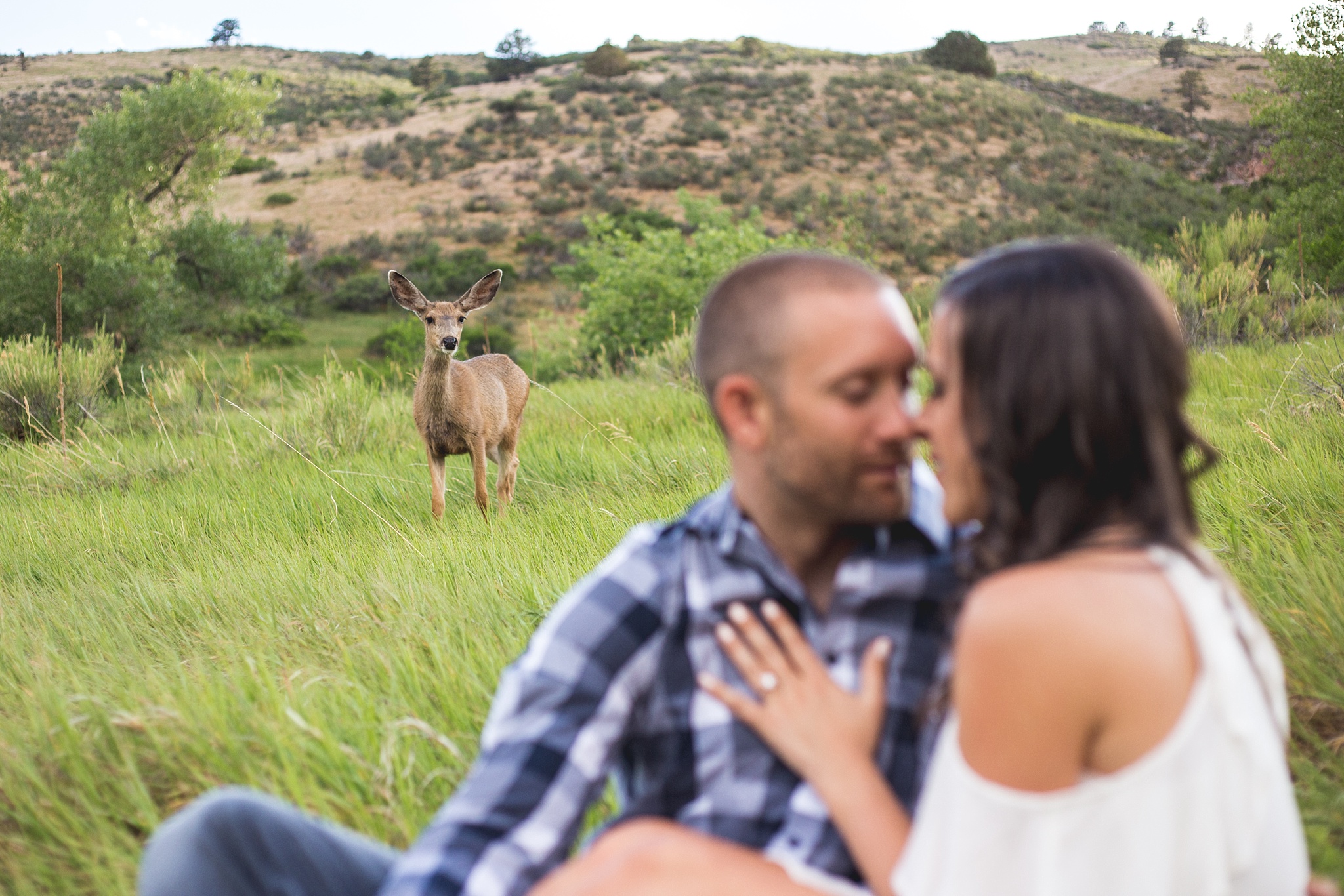 Fort Collins Engagement Photos by Jennifer Garza Photography, Horsetooth Reservoir Engagement Photos, Horsetooth Reservoir Engagement Photography, Fort Collins Engagement, Fort Collins Engagement Photography, Soderberg Trail Engagement, Colorado Engagement, Colorado Engagement Photos, Engagement Photography, Colorado Engagement Photographer, Deer, Magical Deer, Deer Photobomb, Nature