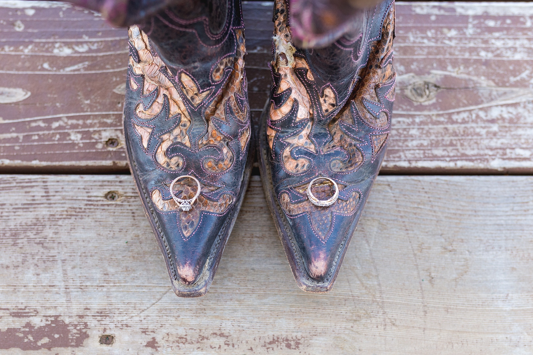 Close-up of bride’s wedding rings on cowboy boots. Katie & Jake’s Castle Rock Wedding at the Douglas County Fairgrounds by Colorado Wedding Photographer, Jennifer Garza. Colorado Wedding Photographer, Colorado Wedding Photography, Douglas County Fairgrounds Wedding Photography, Castle Rock Wedding Photography, Castle Rock Wedding Photographer, Colorado Wedding Photography, Colorado Wedding Photographer, Colorado Wedding, Rustic Wedding, Colorado Bride, Rocky Mountain Bride