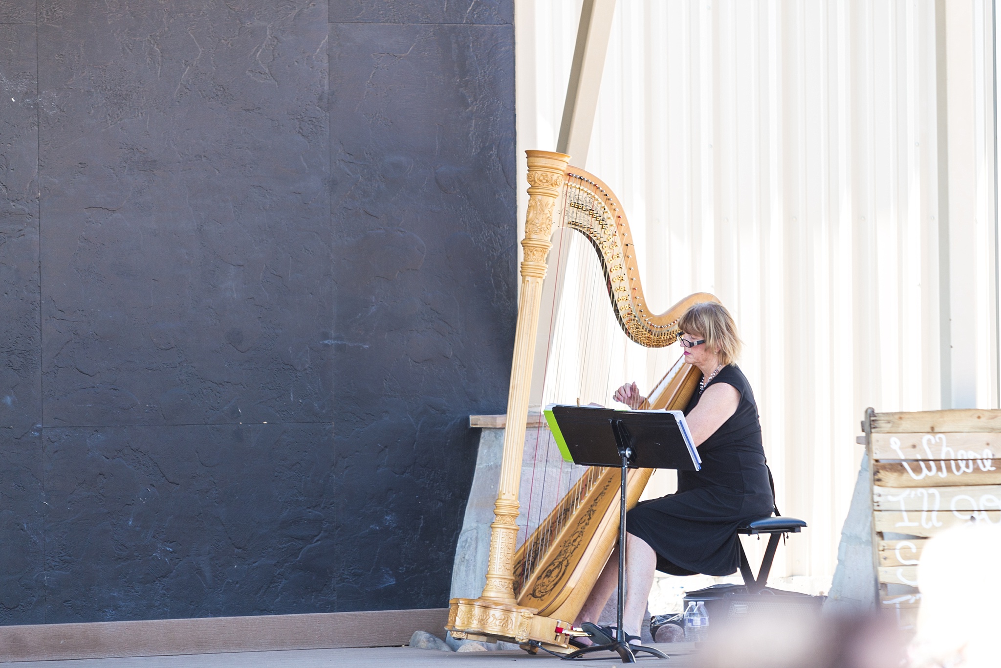 Harpist playing the harp. Katie & Jake’s Castle Rock Wedding at the Douglas County Fairgrounds by Colorado Wedding Photographer, Jennifer Garza. Colorado Wedding Photographer, Colorado Wedding Photography, Douglas County Fairgrounds Wedding Photography, Castle Rock Wedding Photography, Castle Rock Wedding Photographer, Colorado Wedding Photography, Colorado Wedding Photographer, Colorado Wedding, Rustic Wedding, Colorado Bride, Rocky Mountain Bride