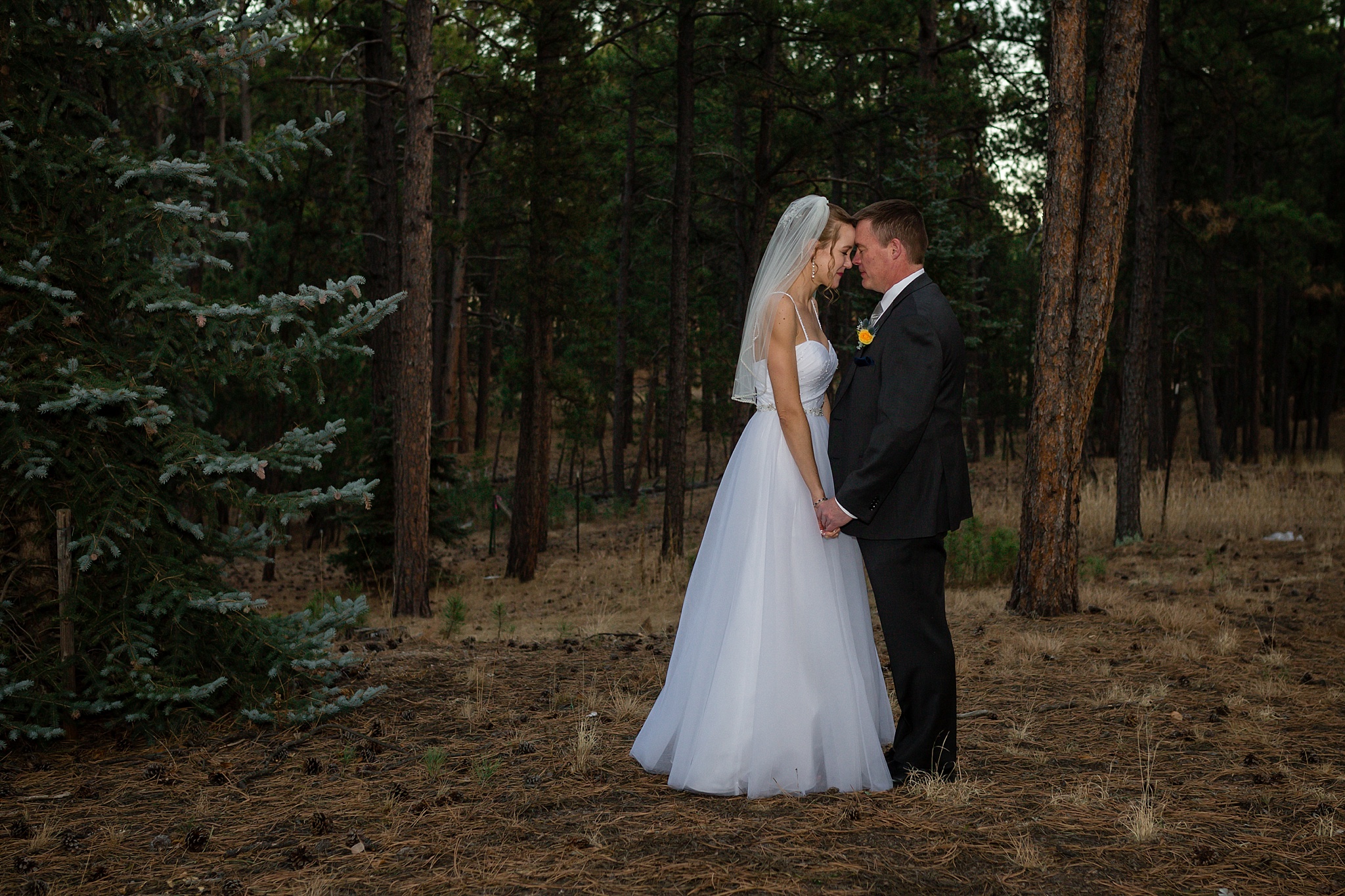 Bride & Groom Portraits. Sheri & Damon's Colorado Springs Wedgewood Black Forest Wedding by Colorado Wedding Photographer, Jennifer Garza. Colorado Wedding Photographer, Colorado Wedding Photography, Colorado Springs Wedding Photographer, Colorado Springs Wedding Photography, Wedgewood Weddings, Wedgewood Weddings Black Forest, Wedgewood Black Forest, Colorado Wedding, Mountain Wedding, Rocky Mountain Bride, Colorado Bride