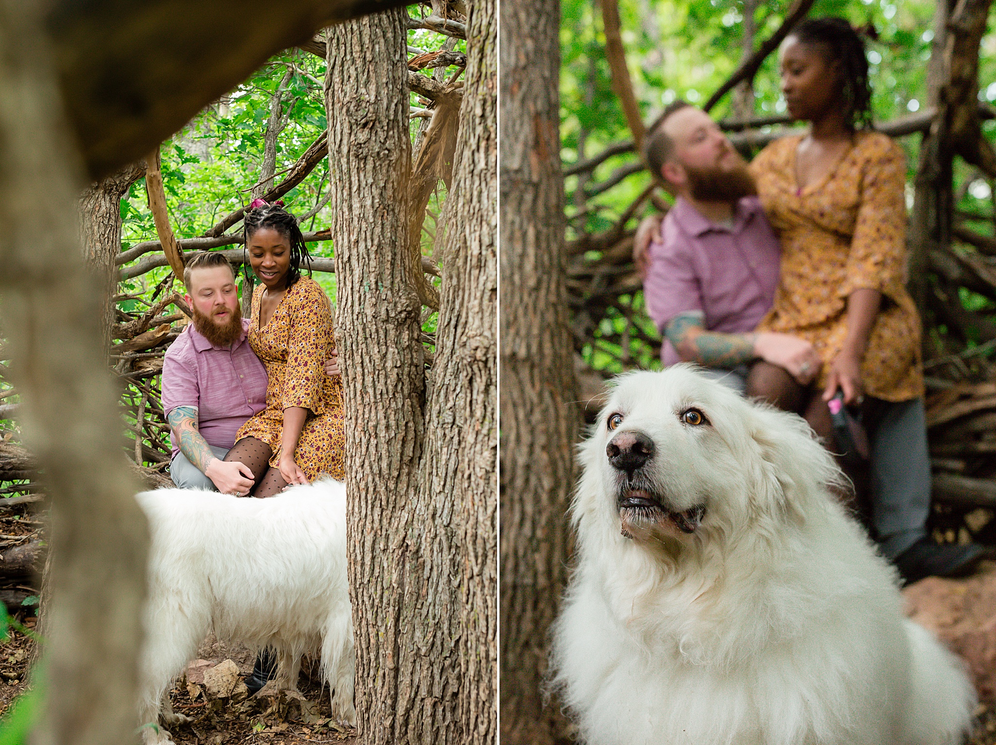 Latrice & Drew's Bear Creek Dog Park & Colorado Springs Engagement Session by Colorado Engagement Photographer, Jennifer Garza. Colorado Engagement Photographer, Colorado Engagement Photography, Colorado Springs Engagement Photographer, Colorado Springs Engagement, Bear Creek Dog Park, Dog Engagement Photos, Dog Park Engagement Session, Engagement Photos, Wedding Inspo, Couples Goals, Rocky Mountain Bride, Colorado Bride