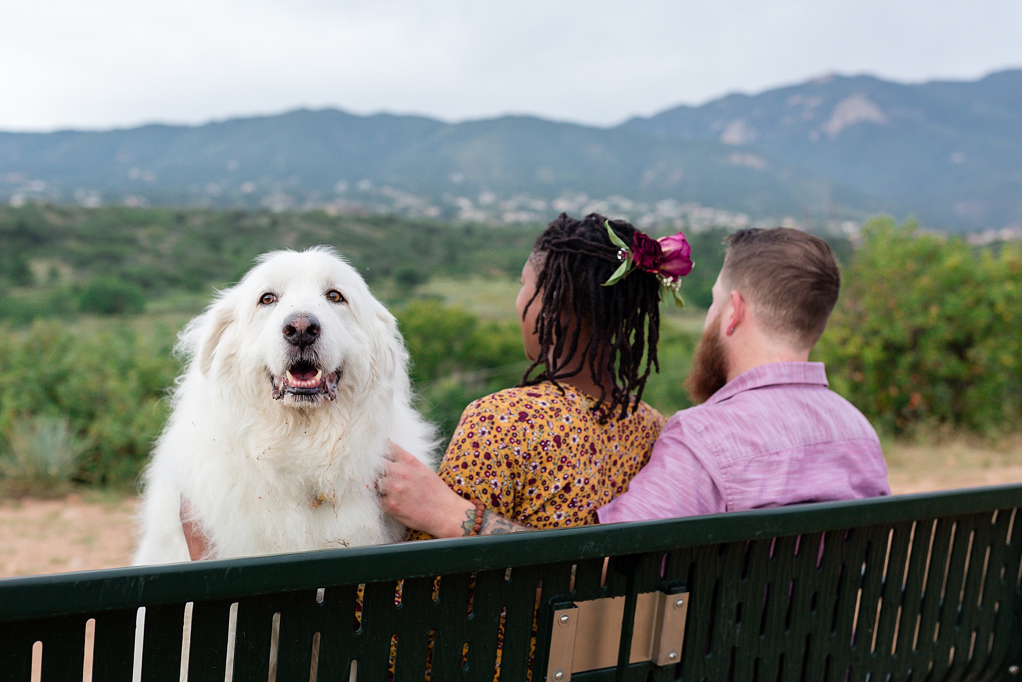 Latrice & Drew's Bear Creek Dog Park & Colorado Springs Engagement Session by Colorado Engagement Photographer, Jennifer Garza. Colorado Engagement Photographer, Colorado Engagement Photography, Colorado Springs Engagement Photographer, Colorado Springs Engagement, Bear Creek Dog Park, Dog Engagement Photos, Dog Park Engagement Session, Engagement Photos, Wedding Inspo, Couples Goals, Rocky Mountain Bride, Colorado Bride